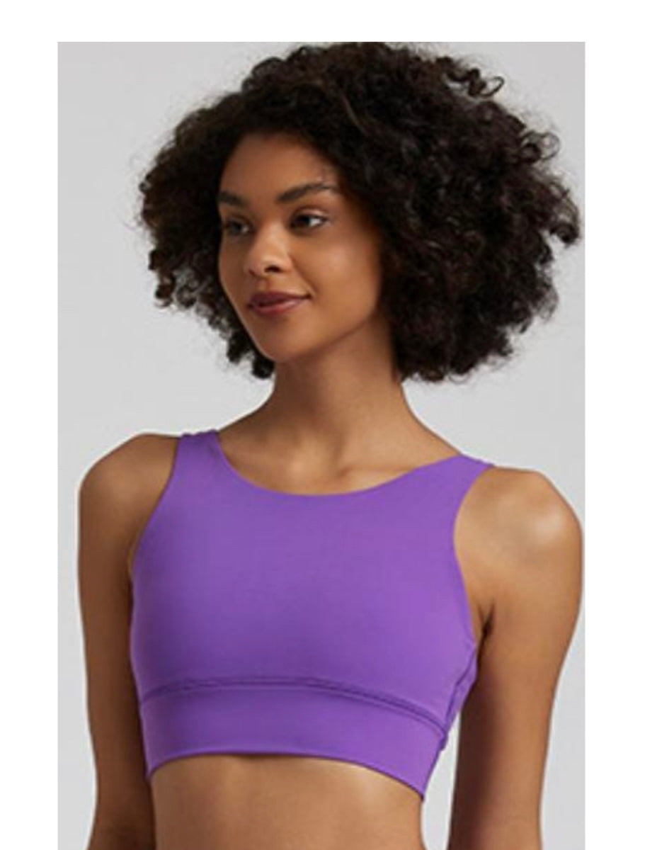 “Ellis” High neck Shockproof Sport Bra (Solid colors)